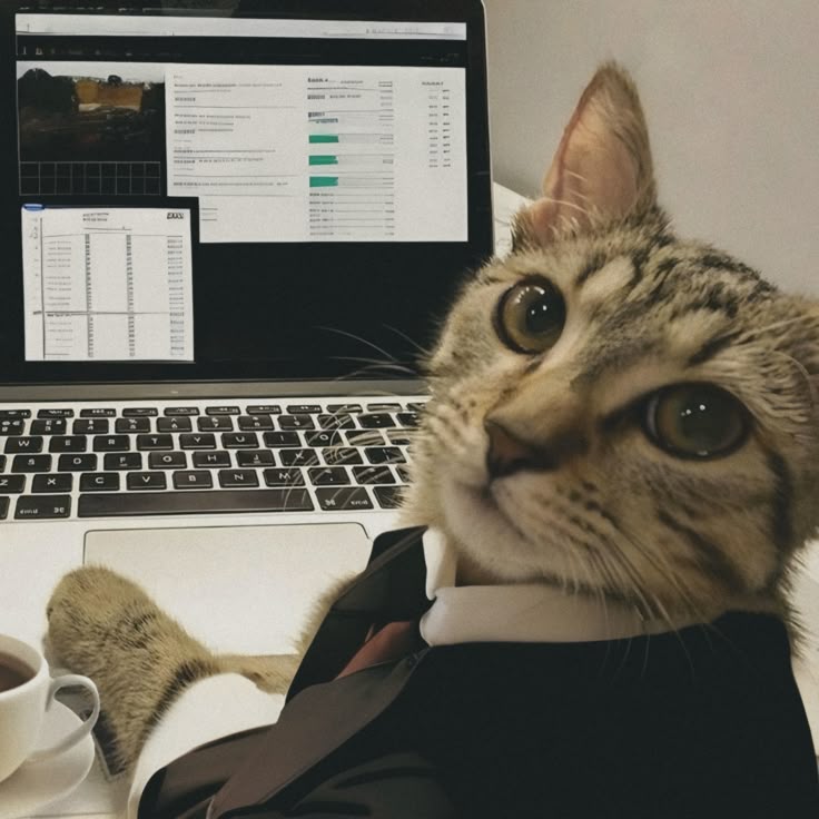 AI Engineering Structure